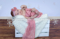 Everly Proofs
